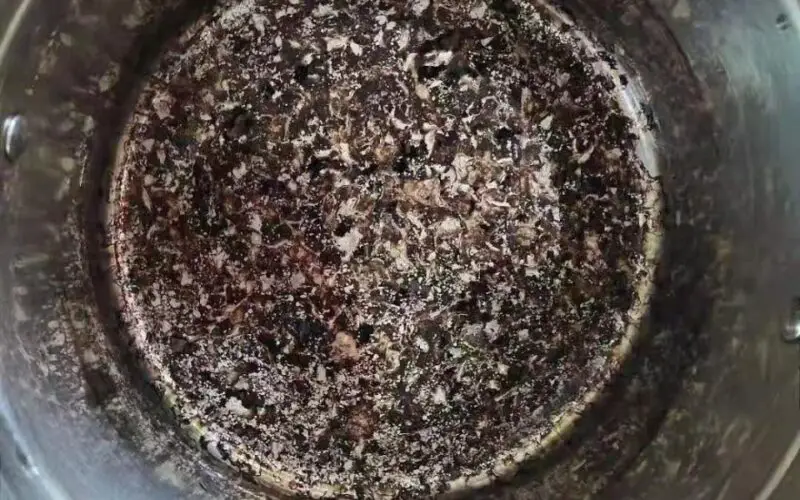 Cómo limpiar una cafetera quemada: guía paso a paso