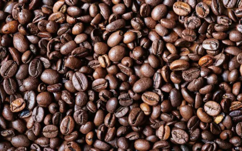 Mejor Café en Grano para Cafeteras Superautomáticas