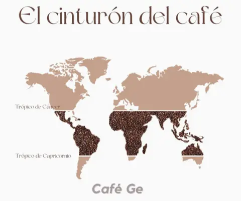Qué país tiene el mejor café del mundo
