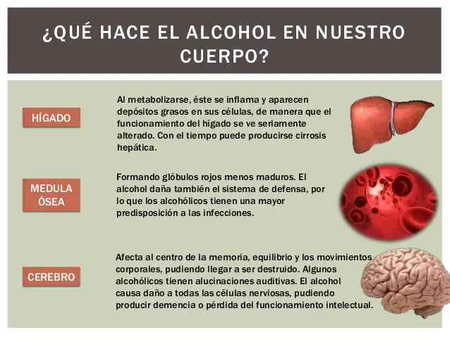 Qué daña más, el café o el alcohol