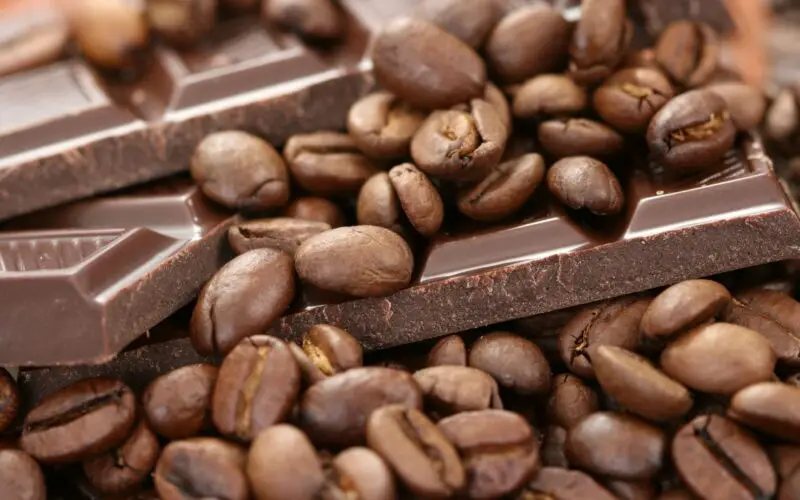 Cómo hacer café con cocoa
