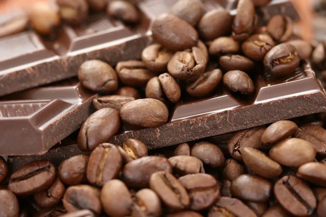 Cómo hacer café con cocoa
