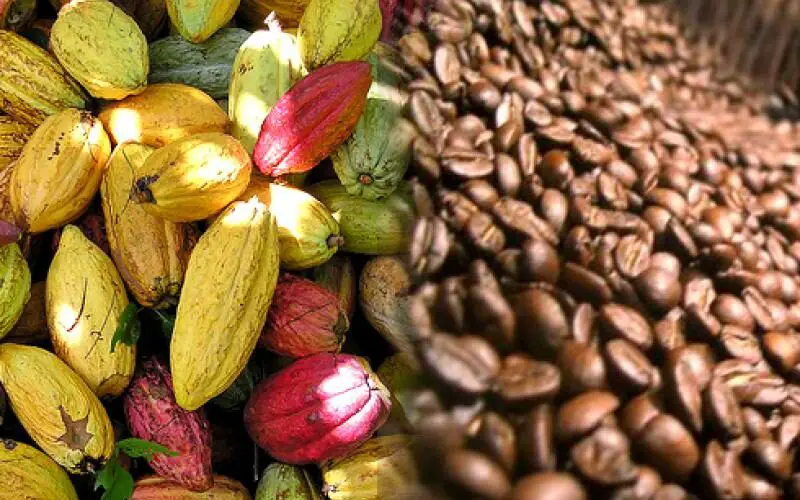 Cómo se llama el café con cacao