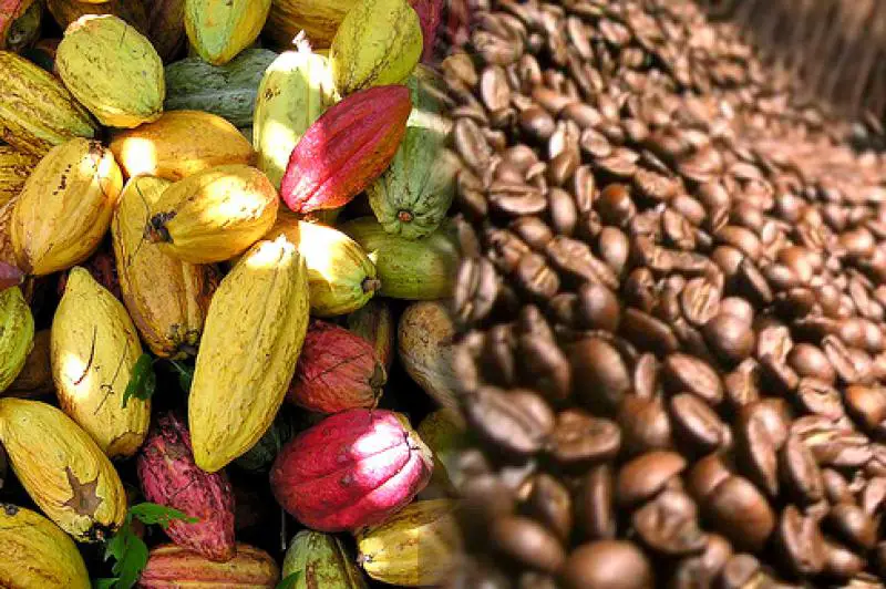 Cómo se llama el café con cacao