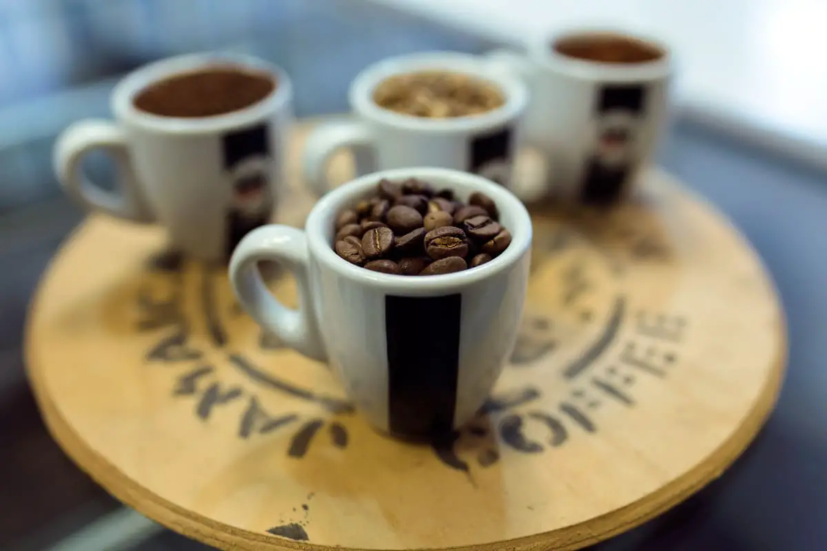 Cuáles son los 4 tipos de café