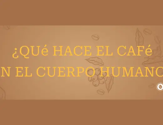 Qué libera el café en el cuerpo