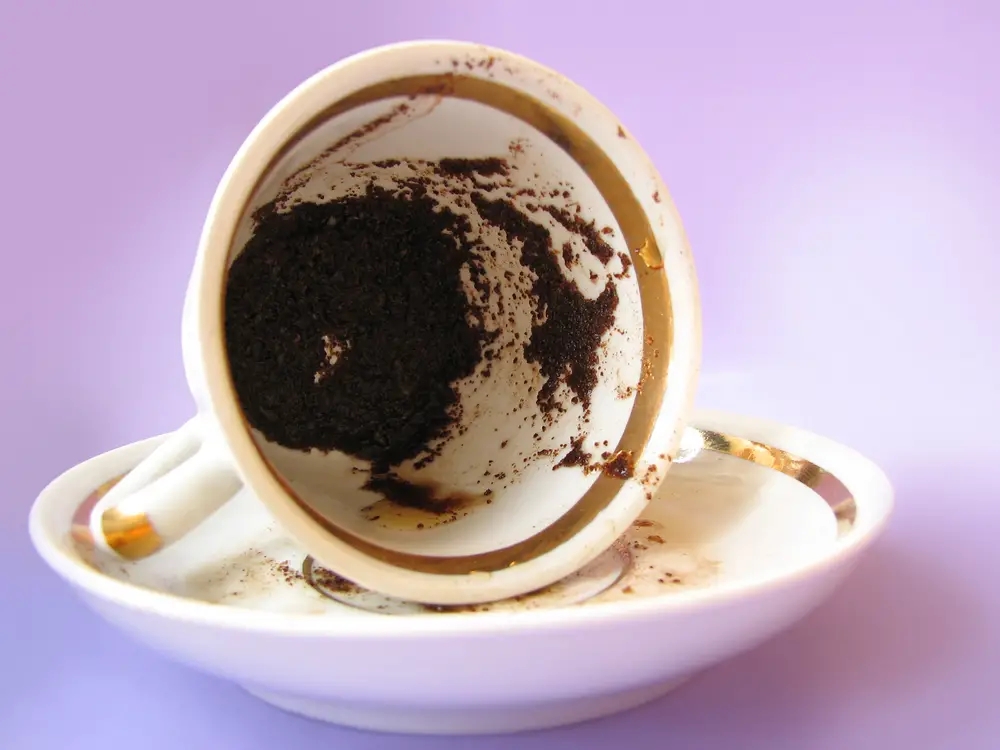 Cómo se lee una taza de café | Horóscopos | Univision