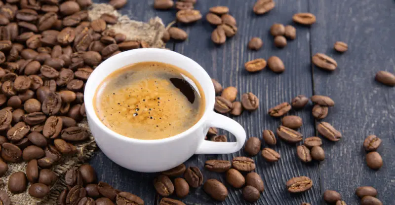 Qué es el café Scielo