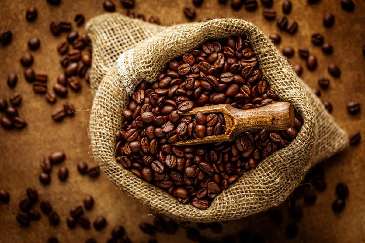 Cómo es el café venezolano