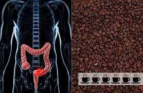Qué le hace el café al intestino