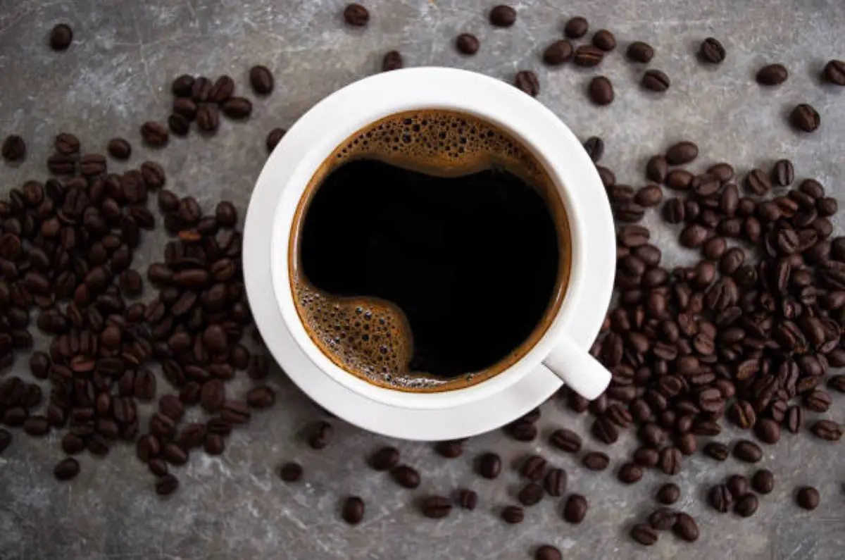 Cuál es la marca de café con más cafeína
