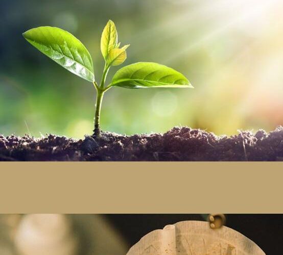 Para qué se utiliza el café en las plantas de los pies