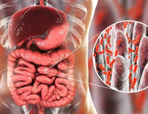Cómo afecta el café a la flora intestinal Cómo afecta el café a la flora intestinal