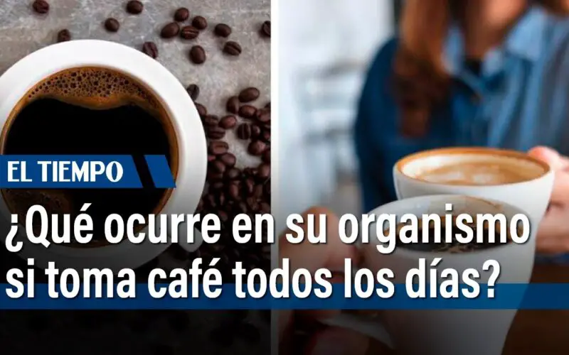 Qué pasa si tomo café todos los días sin azúcar