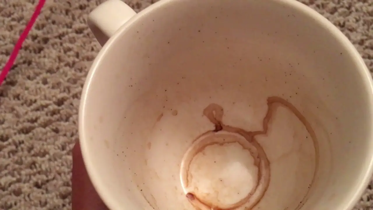 Cómo leer la taza de café árabe