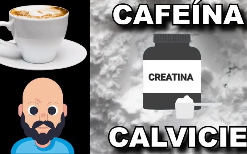 Qué pasa si tomo café y después creatina