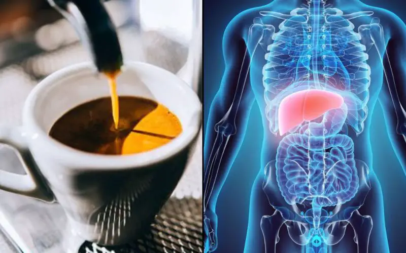 Cómo tomar el café para el hígado graso