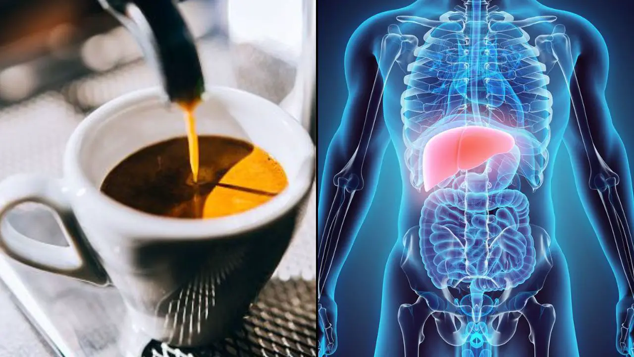 Cómo tomar el café para el hígado graso