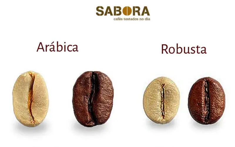 Qué significan los 7 granos de café en la sambuca