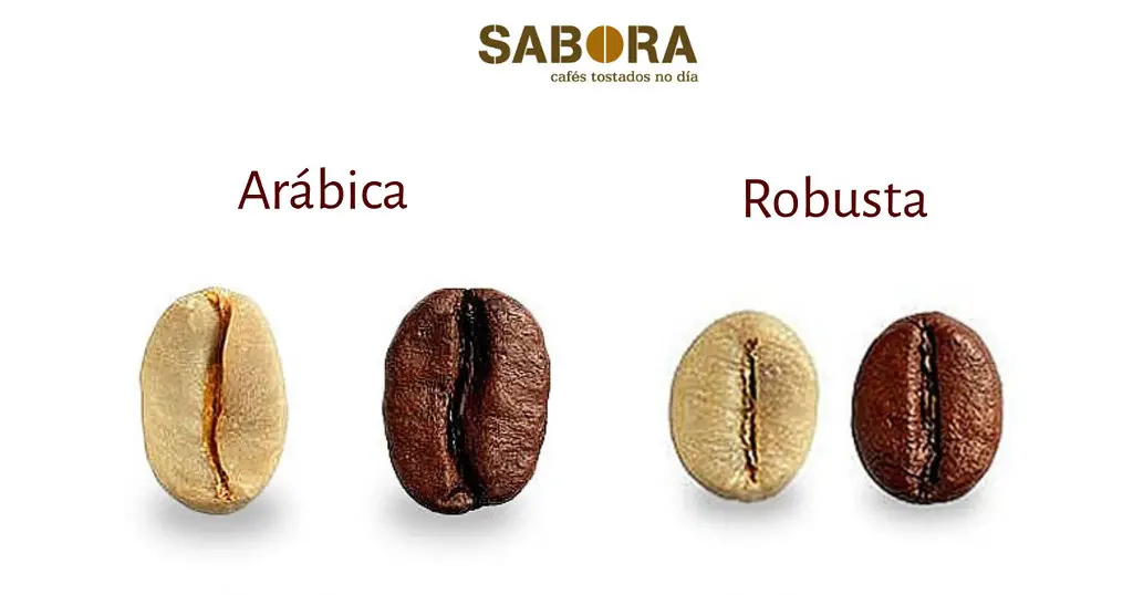 Qué significan los 7 granos de café en la sambuca