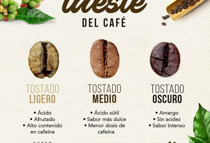 Cuál es el café menos dañino