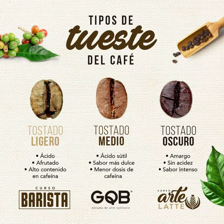 Cuál es el café menos dañino