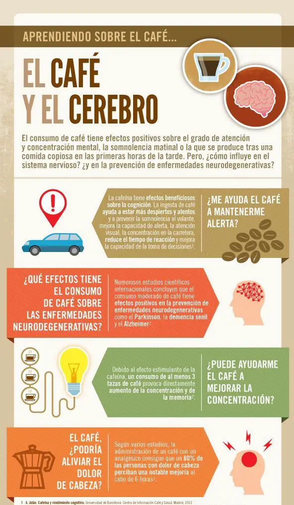 Qué altera el café en el cuerpo