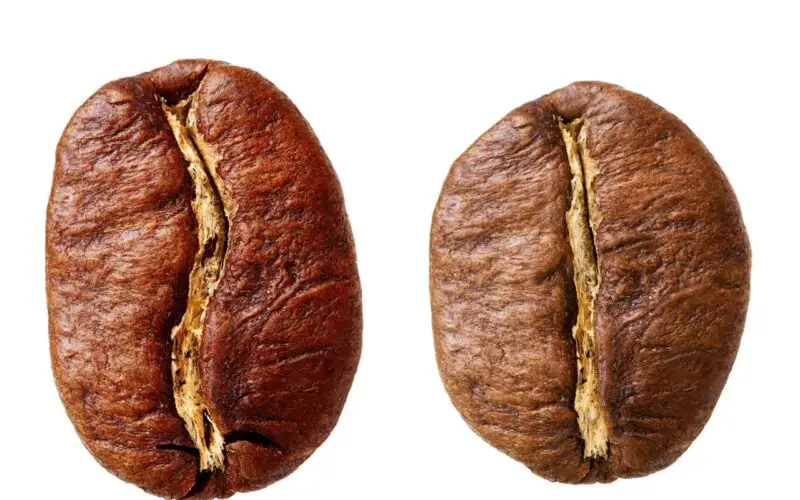 Qué tiene más cafeína, el café o el cacao