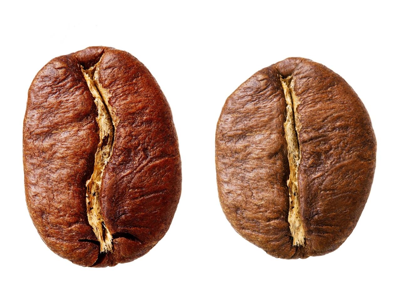 Qué tiene más cafeína, el café o el cacao