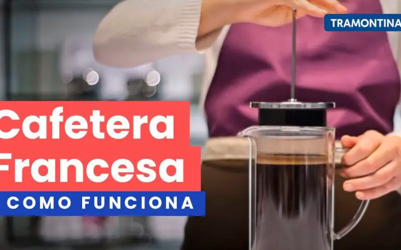 Qué café usa la cafetera francesa